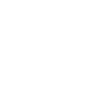 Meyer-Insurance-Logo-800-White